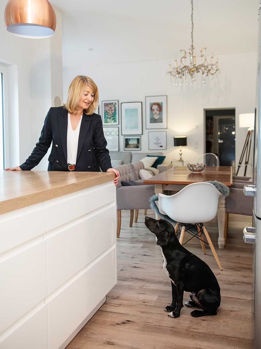 pm-hund pm-hund
