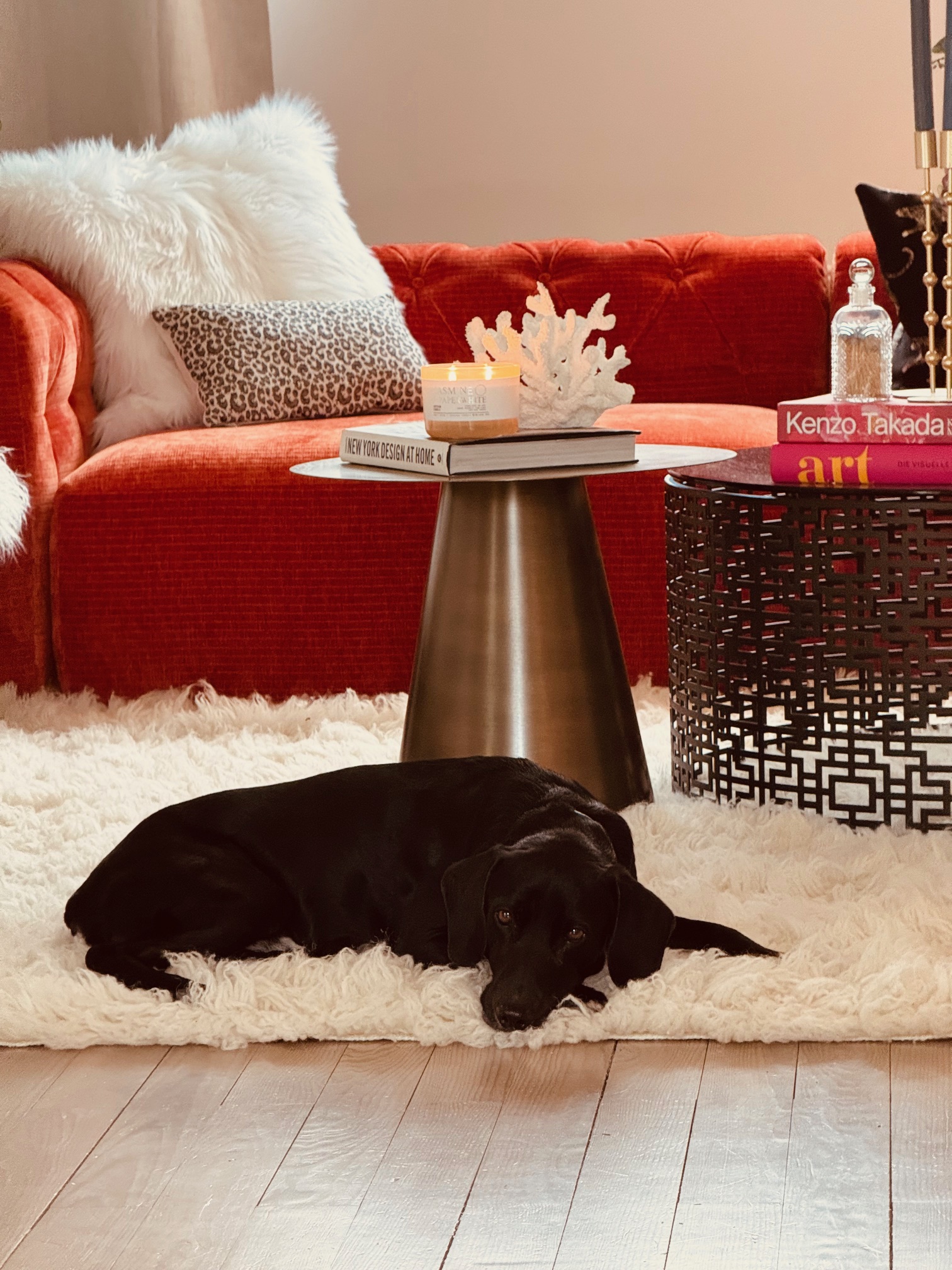 VERMITTELT: Großzügige, moderne Doppelhaushälfte in idyllischer Lage von Hürth-Sielsdorf