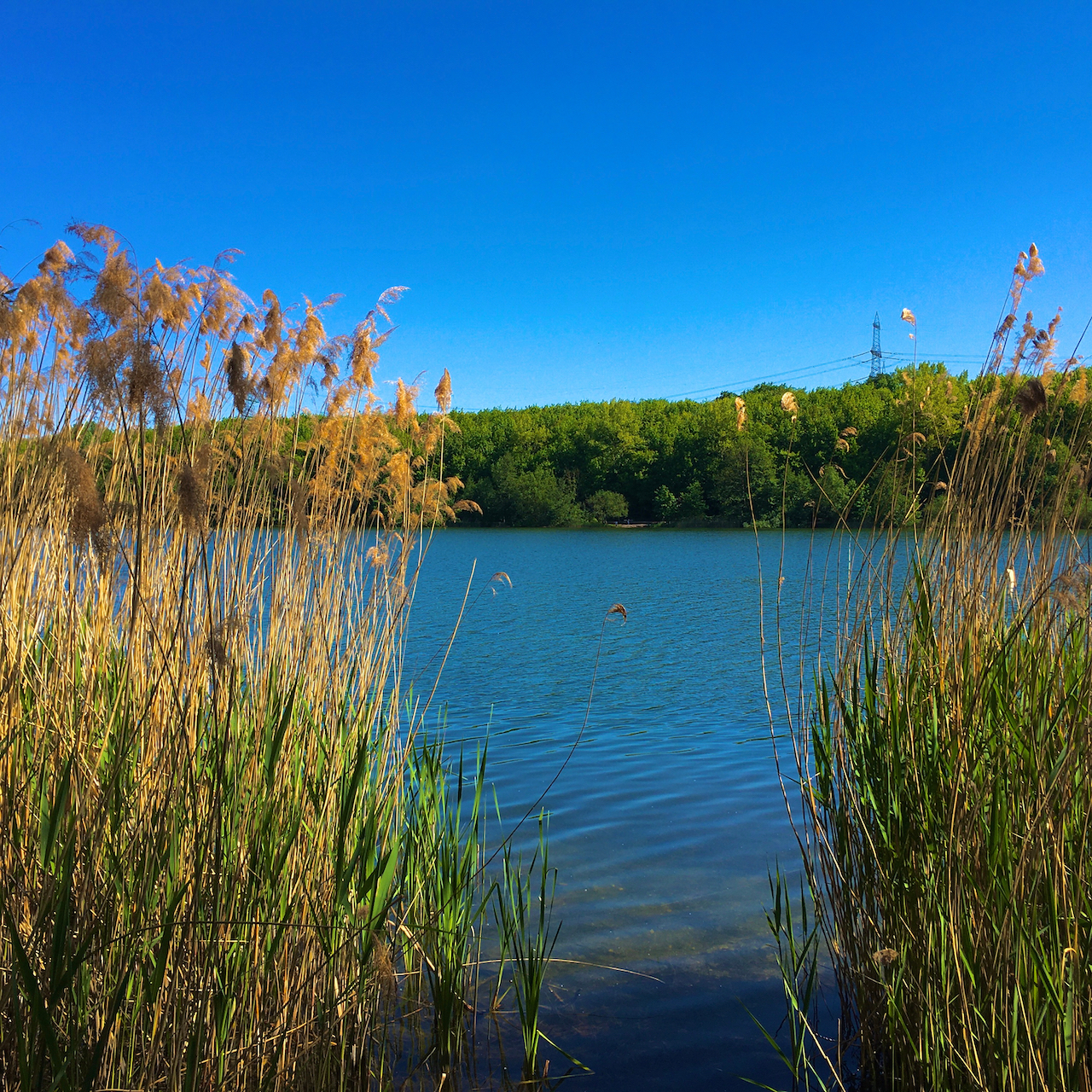 Vermittelt: Hürth-Gleuel: Ihr Haus am See! Großzügige Doppelhaushälfte in schönster Wald- und Feldlage Vermittelt: Hürth-Gleuel: Ihr Haus am See! Großzügige Doppelhaushälfte in schönster Wald- und Feldlage